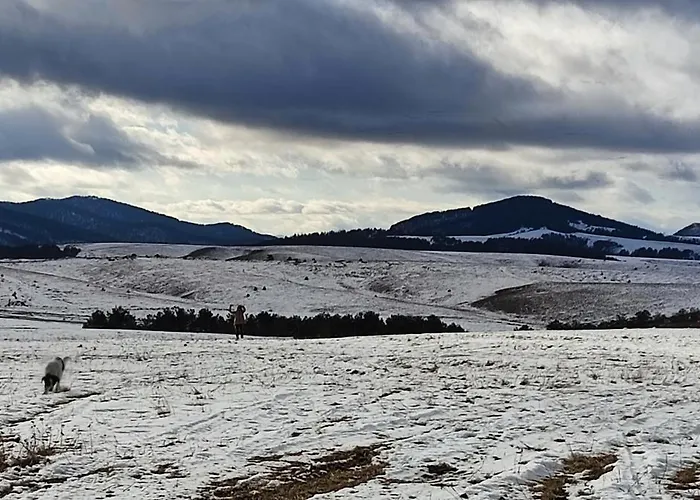 West 37 ズラティボール