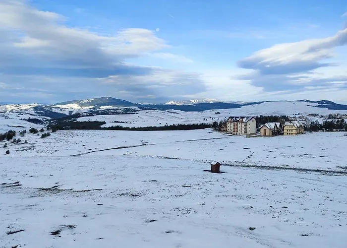 West 37 * ズラティボール